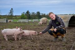 Økologisk griseproducent Daniel Nielsen inviterer til Sofari den 17. maj.