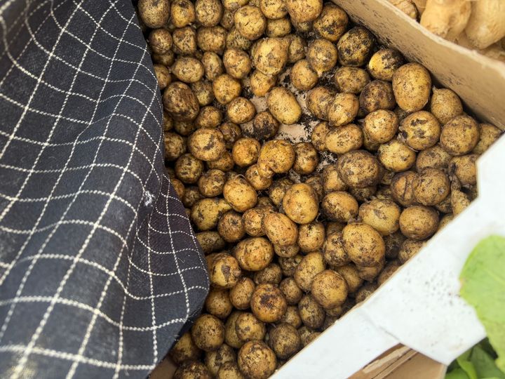 Færre kartofler på danske marker betyder højere produktionsomkostninger og dermed dyrere kartofler.