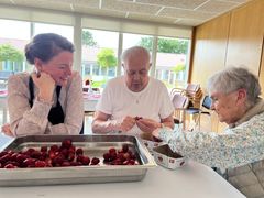 Borgmester Stephanie Storbank piller jordbær fra Sdr. Omme sammen med et par af beboerne på Fynsgade Plejehjem. Foto: Billund Kommune.