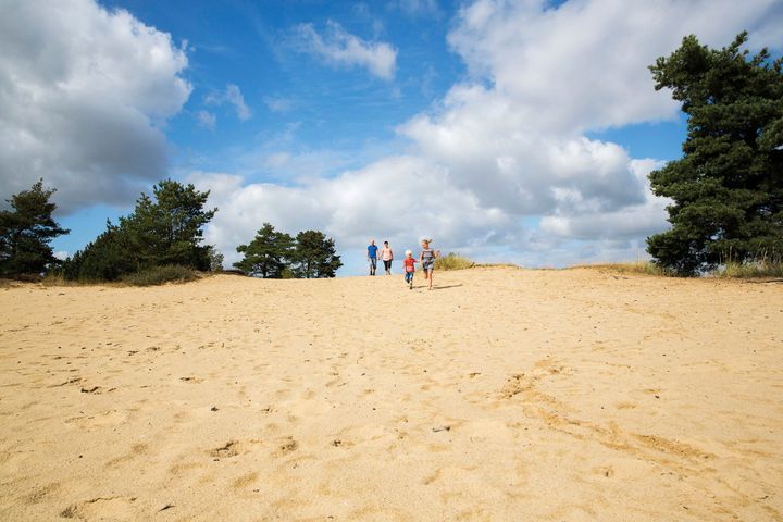 Billund Kommune gennemfører i øjeblikket en spørgeskemaundersøgelse blandt borgere og ansatte. Besvarelserne kommer til at indgå i det videre arbejde med at planlægge kommunens udvikling. Foto: Billund Kommune