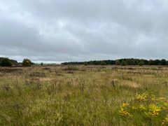 Det knap 30.000 kvadratmeter store areal kan bebygges med tæt-lav boligbebyggelse i op til 3 etager i form af dobbelthuse, kædehuse, rækkehuse eller klyngehuse. Foto: Billund Kommune.