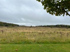 Det byggemodnede område i Morsbøl er omgivet af nyopførte parcelhuse og grønne områder og ligger placeret tæt på Engsøen. Foto: Billund Kommune.
