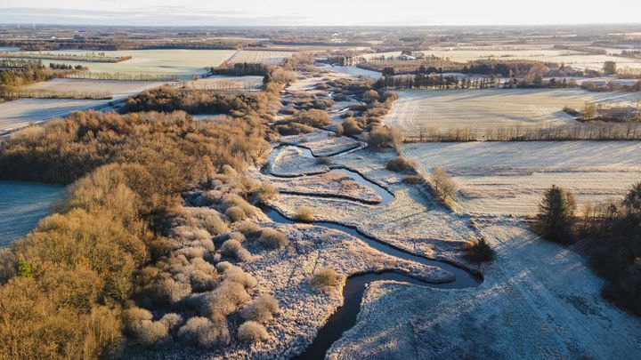 Det er blandt andet området her omkring Ansager Å, hvor biodiversiteten bliver styrket.