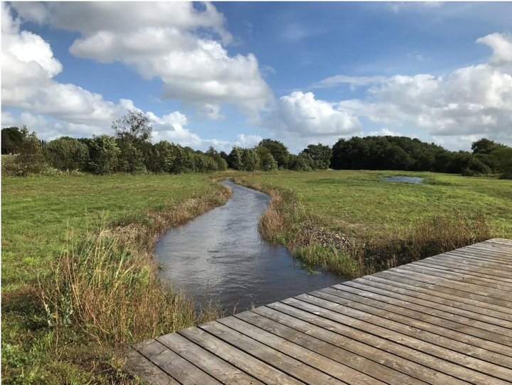 Der er skabt fri passage i Ansager Å og Nørrebæk ved det tidligere Krogager Dambrug, som undtagelsesvist åbner op for offentligheden den 31. august i forbindelse med markeringen af den nye passage.