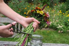 I Haveselskabets skærehaveskole lærer du at dyrke skærehaveblomster i din egen have og binde smukke buketter af din egen blosmterhøst over sommeren.