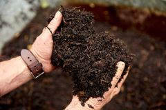 Kompost fra haven.