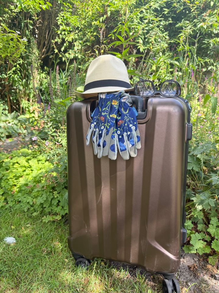 Det kan betale sig at bruge en halv time på at gøre haven ferieklar, før du rejser på sommerferie.