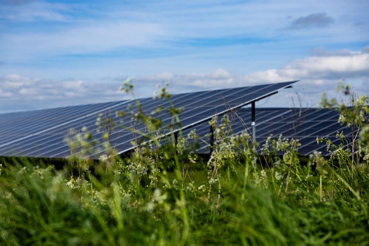 "Vi er glade for, at den nyopførte solpark nu er en realitet. Det er ikke kun et vigtigt skridt i vores bæredygtighedsstrategi – det bidrager også til en mere stabil og forudsigelig energiforsyning i en tid med stigende kompleksitet på energimarkedet," udtaler Jesper Holm Thorstensen, adm. direktør hos Rolltech.
