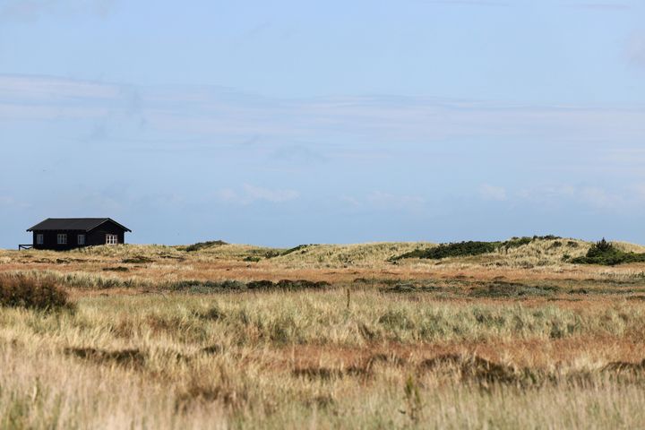 Den økonomiske støtte fra Værdipuljen går blandt andet til Ren Horsens Fjord-fonden, der indeholder forskellige naturgenopretningsindsatser – heriblandt udlægningen af sten, der er afgørende for at livet igen kan finde tilbage til fjorden.