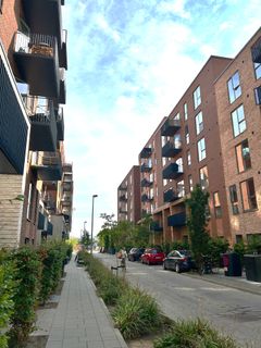 Eksempel på grøn kantzone i Aarhus