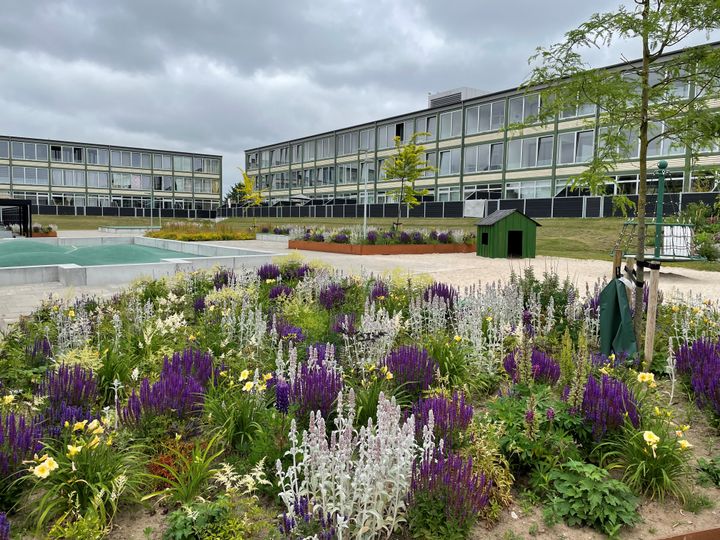 Gårdrummet ved afdeling 8 på Stengårdsvej viser, hvordan udeområderne i kvarteret er blevet fornyet og gjort mere indbydende.