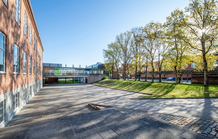 Alle er velkomne til indvielse og åbent hus i seminarieHuset tirsdag den 29. september kl. 15-17. Foto: Esbjerg Kommune
