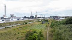 59 nye træer står langs Estrupvej som et synligt bevis på Esbjerg Kommunes klimapartnerskaber med 59 lokale virksomheder.