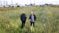 Miljø- og sekretariatschef Allan Dahl Leiberg og formand for Klima & Erhvervsudvalget Mikkel Ammitzbøll står ved de nyplantede træer på Estrupvej.