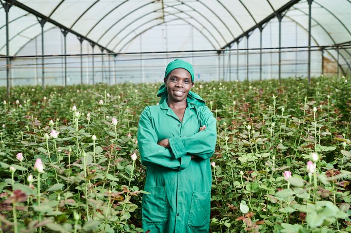 I Kenya beskæftiger Fairtrade-blomsterfarme flere end 38.000 arbejdere. 55 procent er kvinder.