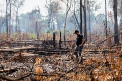 Nedbrændt regnskov i Brasilien. Alene de fire år under præsodent Bolsonaro forsvandt brasiliansk regnskov, der svarer til Danmarks samlede areal.