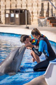 Kun fem procent af danskerne overvejer at gå til delfinshows, når de tager på solferie, viser ny meningsmåling fra YouGov. Det er et fald fra 36 procent på bare fem år. Samme undersøgelse viser, at kun tre procent har lyst til at svømme med delfiner i fangenskab.