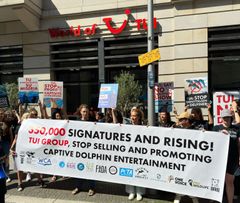 Stop udnyttelsen af delfiner, drop jeres forretninger med delfinarier, lød beskeden fra 15 internationale organisationer, der afleverede 350.000 underskrifter fra ni lande i TUIs hovedkontor i Berlin.