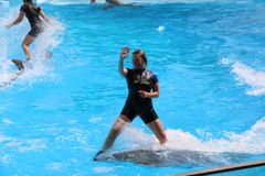 Trænere surfer på delfiner i et af de delfinarier, der indgår i World Animal Protections undersøgelse. Både spækhuggere og delfiner optræder med 'kunster', som de aldrig ville gøre i naturen. Det strider imod TUIs etiske retningslinjer, mener dyreorganisationen.