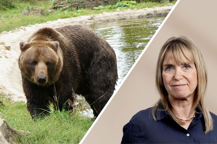 "Vi byggede verdens første bjørnereservater, og er kendt og respekteret for vores arbejde for at forhindre udnyttelsen af vilde dyr i underholdning," siger Gitte Buchhave, der her ses i World Animal Protections partner reservat, Libearty i Rumænien, som organisationens medlemmer har medfinansieret gennem mange år