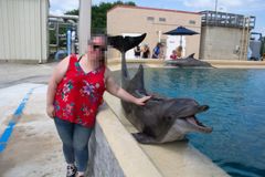 Turist i nærkontakt med vild delfin i delfinarium