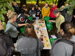 En guppe elever og deres underviser evaluerer deres svampehøst på et udendørs bord under sanketur i skoven.