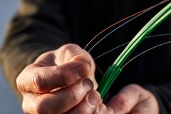 EWIIs sælger det fyiske fibernet i Trekantområdet til Signal, der er Norlys' fibernetselskab.