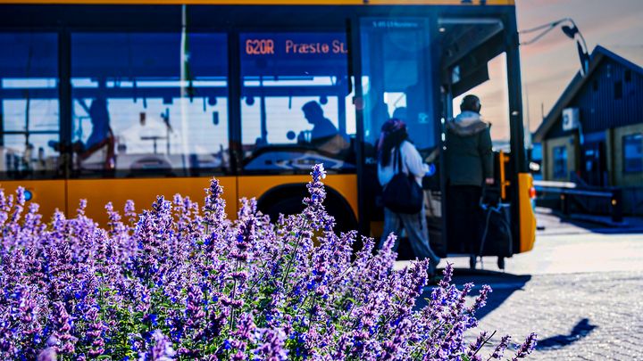 Passagerer går ind i bus 620R mod Præstø St.