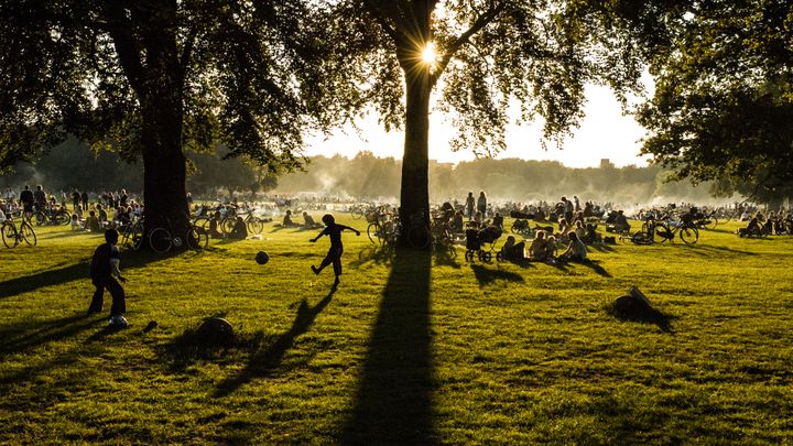 Fælledparken med lavtstående sol og røg fra mange tændte grille.