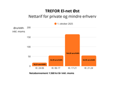 TREFOR El-net Øst forsyner samtlige 29.000 private boliger, fritidsboliger, ejendomme og erhverv på Bornholm.