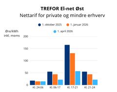 TREFOR El-net justerer nettariffen, så private og mindre erhverv på Bornholm i 2026 samlet set opnår en besparelse på 9 procent.
