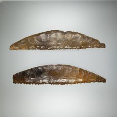 To flintsegle fra Svineholm Mose ved Skuldelev. De måler omkring 17 cm. Den skinnende overflade er opstået under høstarbejdet ved kontakt med det kiselholdige korn. Foto: Cille Krause/ROMU