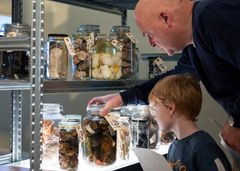 En del af de mange farvestrålende glas, der indgår i særudstillingen "Forvandlinger" på Roskilde Museum, kommer til at indgå i nye sammenhænge, hvor de fortsat kan fortælle om genbrug og affald gennem tiderne.