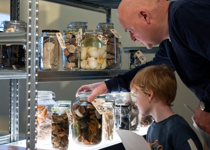 En del af de mange farvestrålende glas, der indgår i særudstillingen "Forvandlinger" på Roskilde Museum, kommer til at indgå i nye sammenhænge, hvor de fortsat kan fortælle om genbrug og affald gennem tiderne.