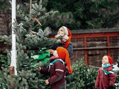 Når nisser, børn og andet godtfolk igen samles til "Jul på Færgegården" vil der i år være endnu mere at opleve, blandt andet er arrangementet udvidet med et hyggeligt julemarked, ligesom der vil være endnu flere aktiviteter for de yngste.
