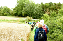 Sommervandringerne, der udgår fra Lejre Museum, har forskellig længde og indhold, men fælles for dem er, at en lokalkendt guide fortæller om områdets sagn, arkæologiske fund og histore.