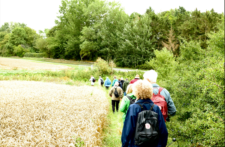 Sommervandringerne, der udgår fra Lejre Museum, har forskellig længde og indhold, men fælles for dem er, at en lokalkendt guide fortæller om områdets sagn, arkæologiske fund og histore.