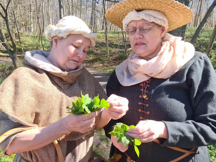 Til årets kildemarked, der har middelalderen som tema, kan man møde en plantekyndig kvinde, som giver gode råd om planternes helbredende kræfter – i hvert fald som man så på dem i middelalderen.