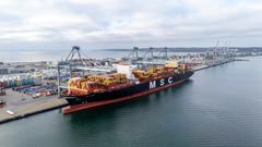 I 2025 øgede Aarhus Havn sin markedsandel og håndterer nu over 72 procent af det danske containermarked.