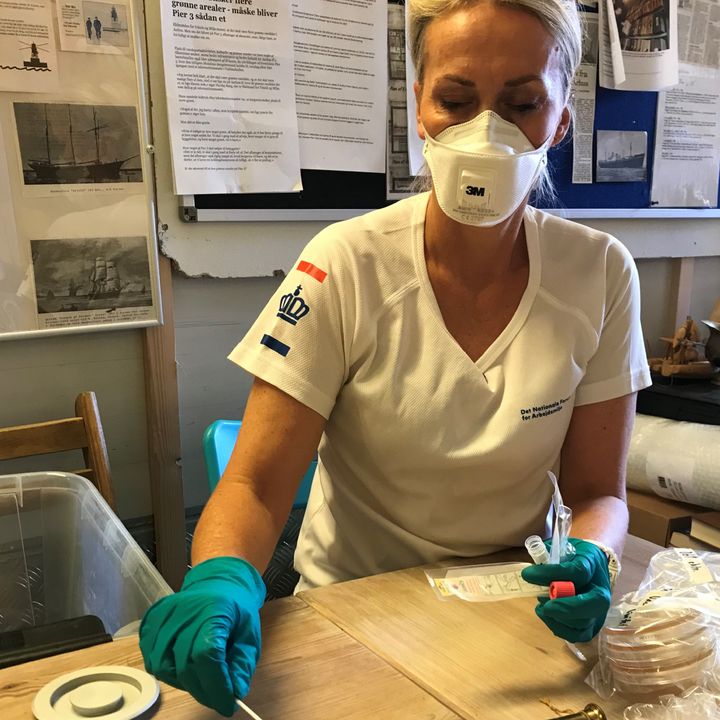 Forskere fra NFA finder skimmelsvamp på Aarhus Søfartsmuseum