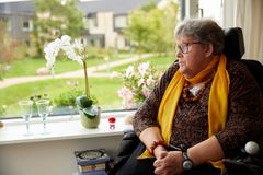 Ældre Sagen kræver politisk handling,