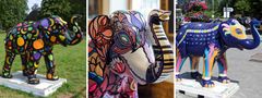 Tre dekorerede elefanter fra event i Luton