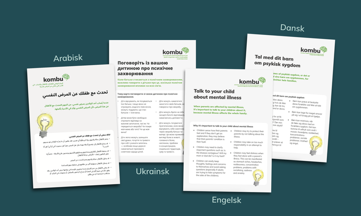 Billede af folderne, som artiklen handler om.