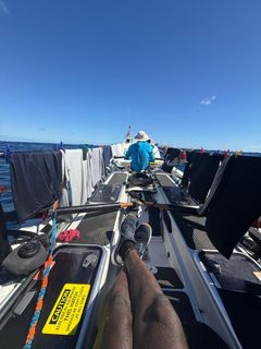 Zax tager et kort hvil med udsigt til Simon, der ror, og vasketøjet.