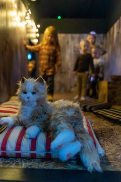 Børn kan lege på høloftet. De kan give nissen grød og klappe kattene.