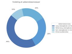 Vækstpiloterne i SMV:Vækstpilot har vidt forskellige baggrunde, men 70 procent kommer med en lang eller mellemlang videregående uddannelse.