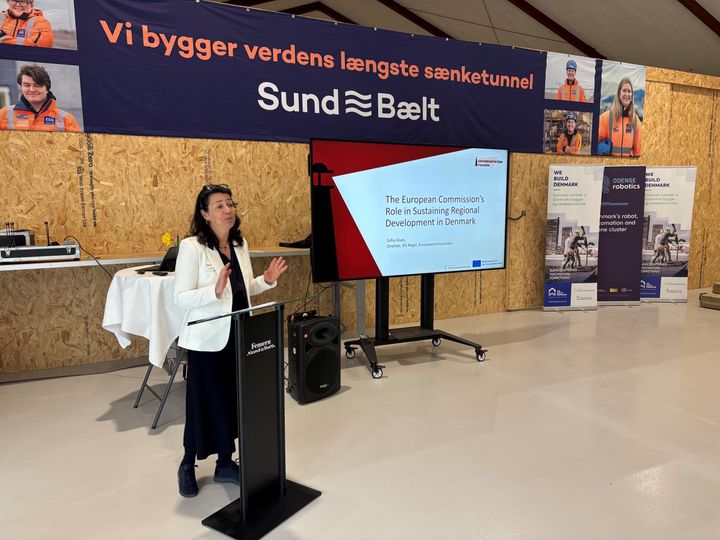 Femern-forbindelsen kan blive løftestang for lokal erhvervsudvikling.Den reelle udfordring er ikke blot at skabe nye virksomheder, men at sætte de eksisterende i stand til at skalere og trives, ifølge Sofia Alves, direktør i DG REGIO