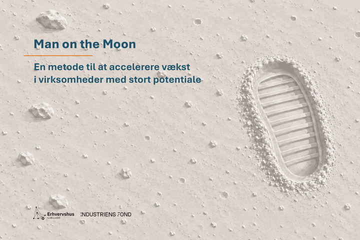 Man on the moon