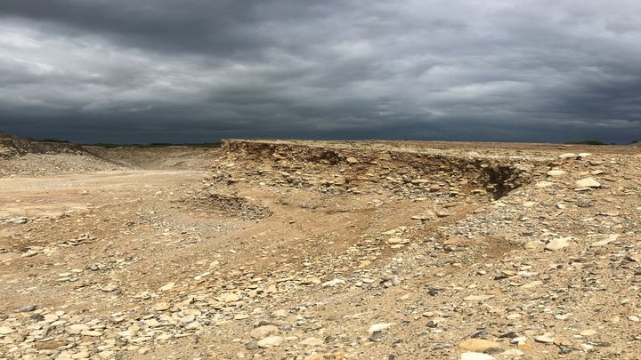 Foto: Lasse Møller Vollesen