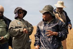Conservation International samarbejder med lokale fårehyrder i Sydafrika om græsningsmetoder
